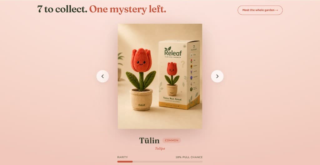 Bloom Collection